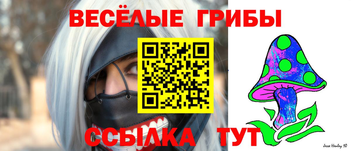 Псилоцибиновые грибы Psilocybe  Галлюциногенные грибы прущие грибы  Удомля  Вход с VPN 