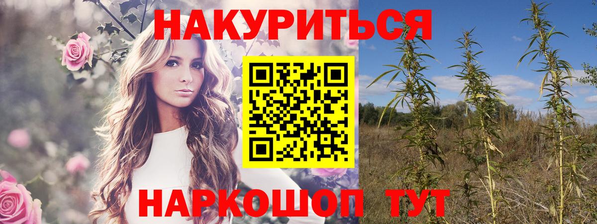 Каннабис VHQ Удомля